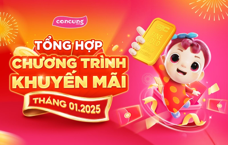 TỔNG HỢP CHƯƠNG TRÌNH KHUYỄN MÃI THÁNG 01.2025