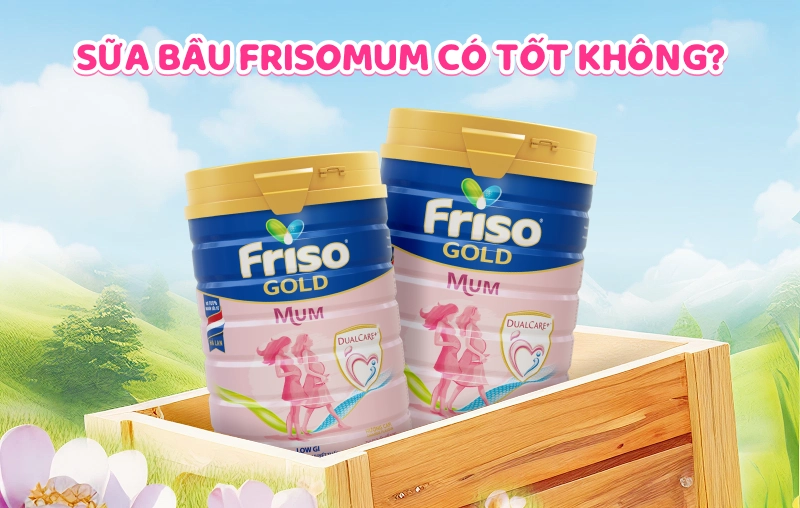 Sữa bầu Frisomum có tốt không? Cách pha đúng chuẩn cho mẹ