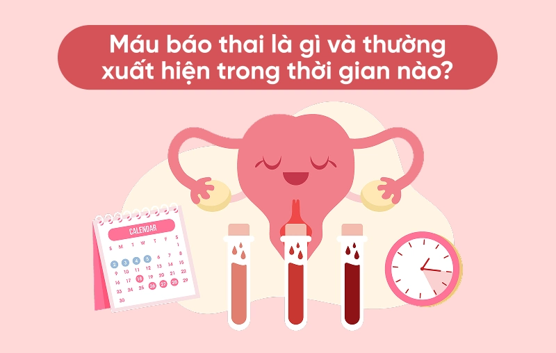 Máu báo thai là gì và thường xuất hiện trong thời gian nào?