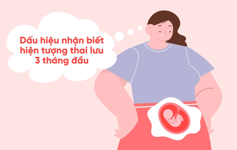 Dấu hiệu nhận biết hiện tượng thai lưu 3 tháng đầu chính xác giúp mẹ phát hiện sớm và xử trí kịp thời