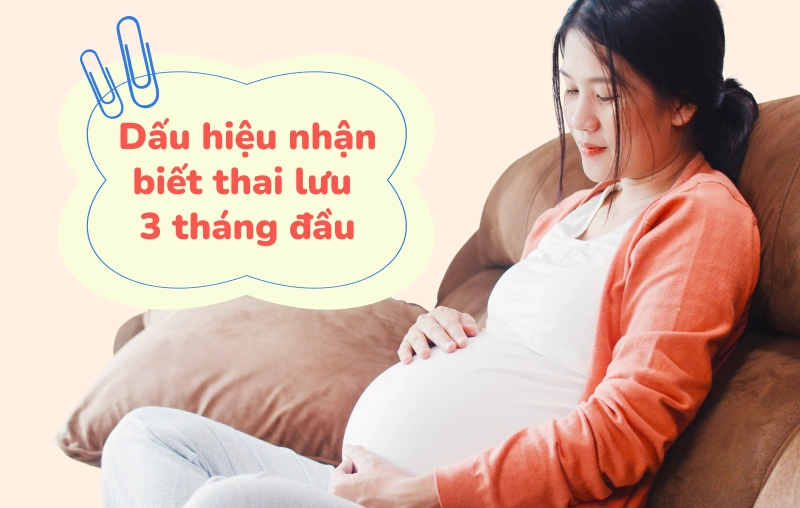 Dấu hiệu nhận biết hiện tượng thai lưu 3 tháng đầu chính xác giúp mẹ phát hiện sớm và xử trí kịp thời