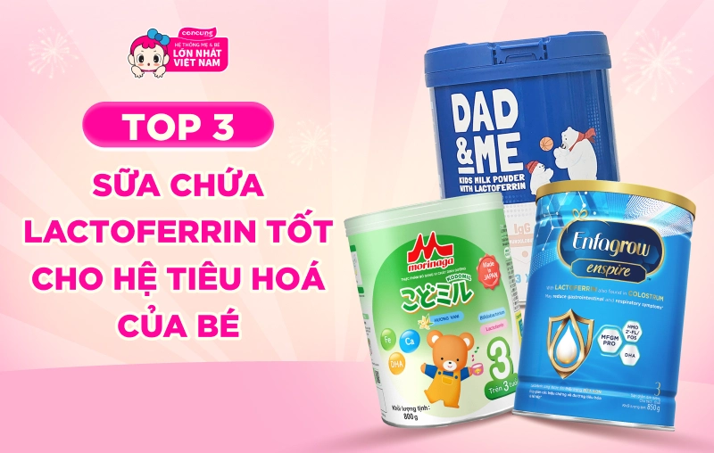 Lactoferrin là gì? Top 3 sữa chứa Lactoferrin tốt cho hệ tiêu hoá của bé