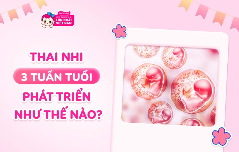 Thai nhi 3 tuần tuổi phát triển như thế nào? Kích thước và cân nặng bao nhiêu?
