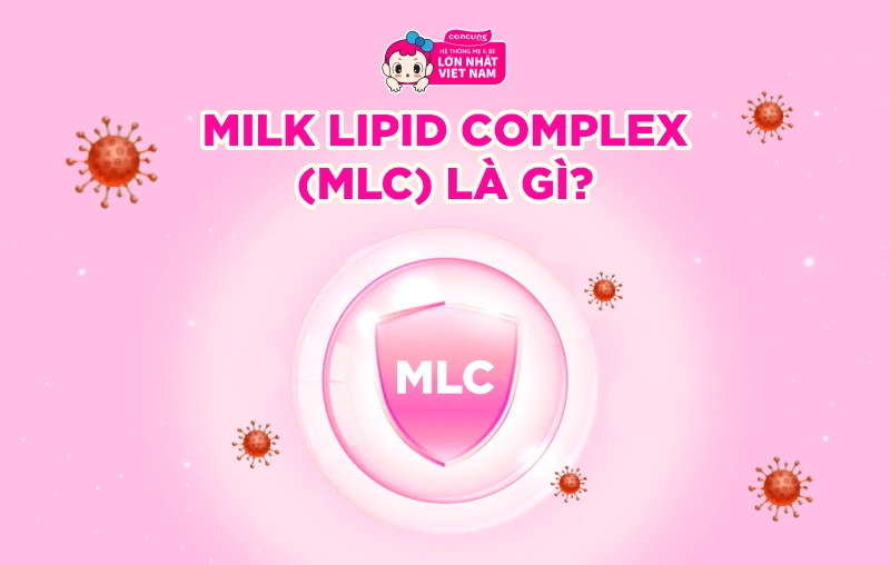 Milk Lipid Complex (MLC) là gì? Thành phần trong sữa giúp bé trên 2 tuổi tăng cân khỏe mạnh
