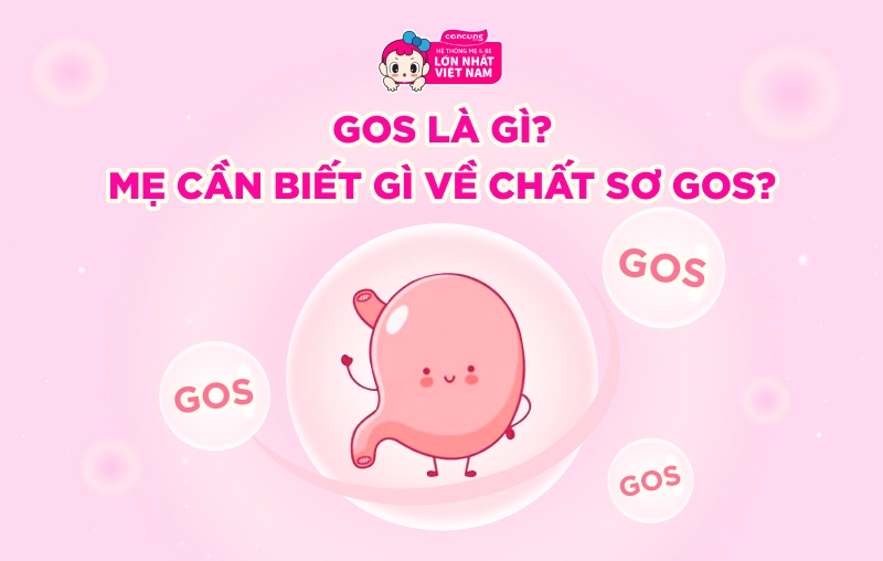 GOS là gì? Mẹ cần biết gì về chất xơ GOS có trong sữa của bé?