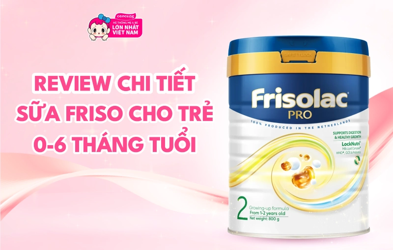 Review chi tiết sữa Friso cho trẻ 6-12 tháng tuổi
