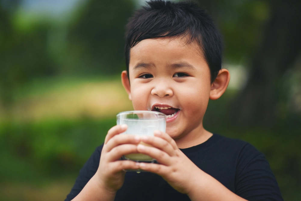  Top 4 sữa công thức cho bé 2 tuổi tiêu hóa tốt, ngừa táo bón