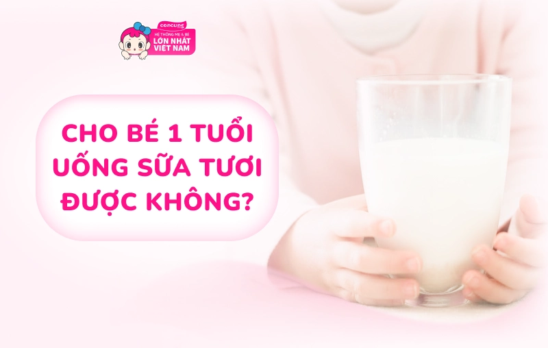 Cho bé 1 tuổi uống sữa tươi được không? Phân biệt sữa tươi và sữa bột pha sẵn cho mẹ 