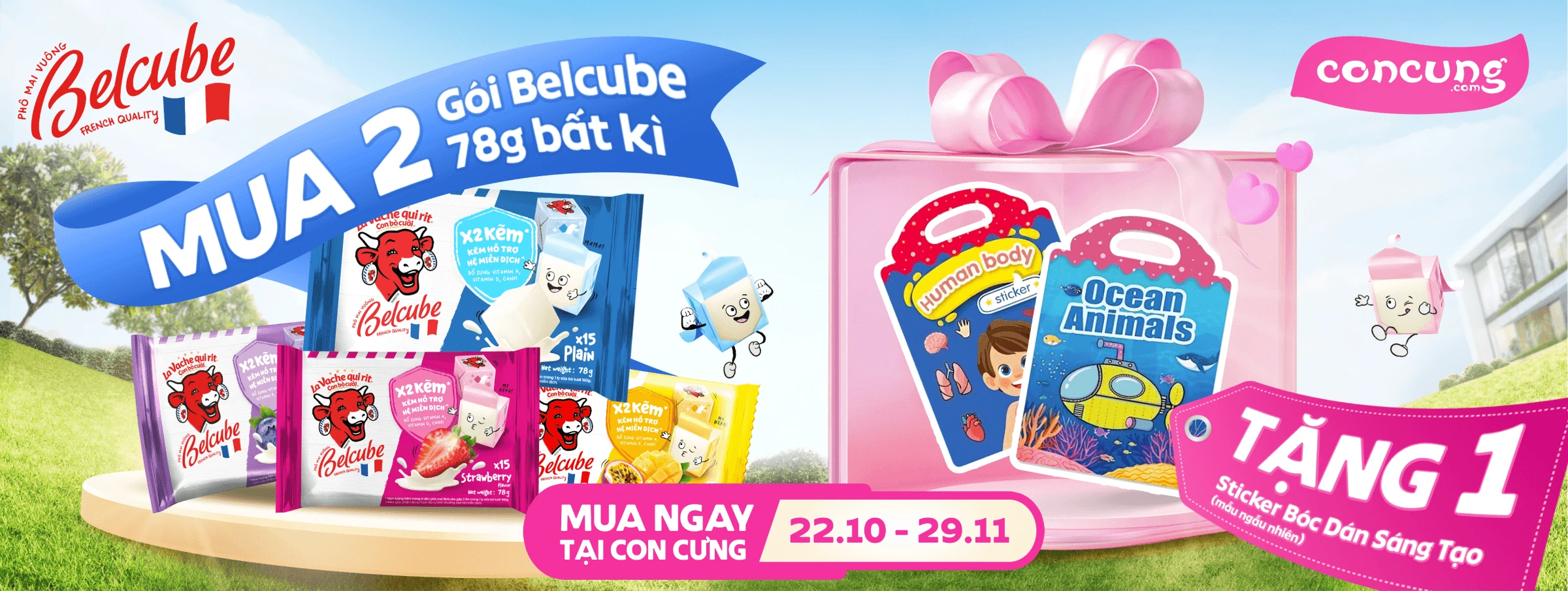 BELCUBE