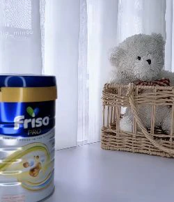 Friso Pro nhập khẩu từ Hà Lan 
