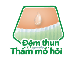 1633079947 Dem Thun Tham Mo Hoi Combo 2 Bịch Bobby Tã Dán M76 Miếng (6-11Kg)