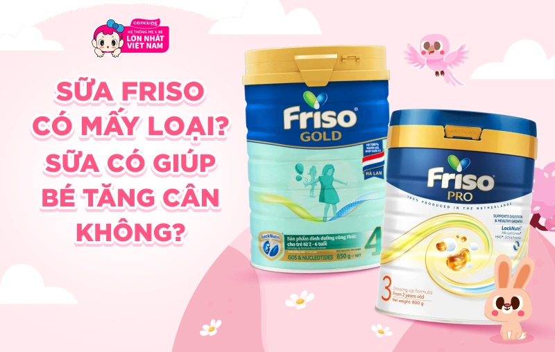 Sữa Friso c&oacute; mấy loại? Sữa c&oacute; gi&uacute;p b&eacute; tăng c&acirc;n kh&ocirc;ng?