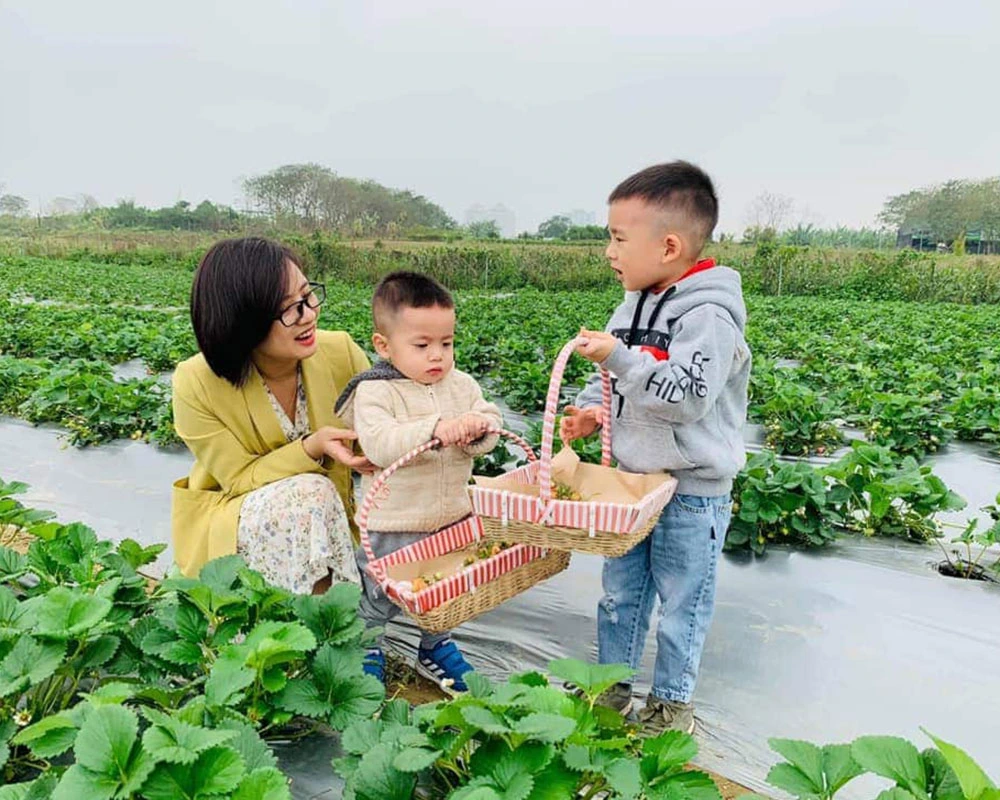 truong-mam-non-song-ngu-montessori-viet-my (2)