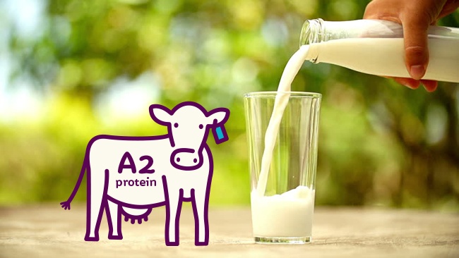 Nuôi con mạnh khoẻ và phát triển toàn diện cùng sữa A2 Platinum S%E1%BB%AFa%20a2%201