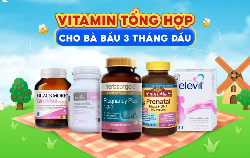 1. Giới Thiệu Về Vitamin Tổng Hợp Cho Bà Bầu