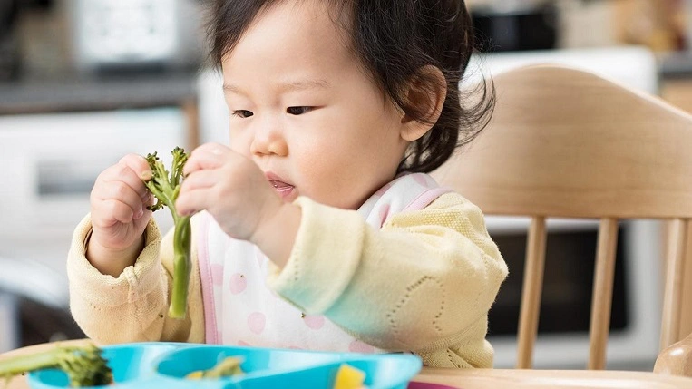 thực đơn ăn dặm kiểu nhật cho bé 6 tháng