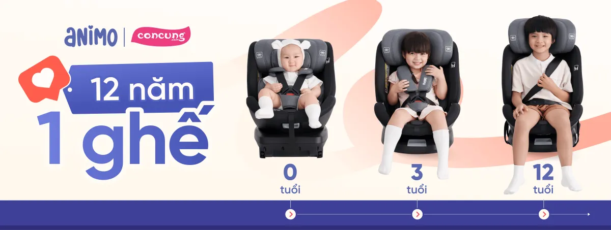 Ghế ngồi ô tô Animo OneFit