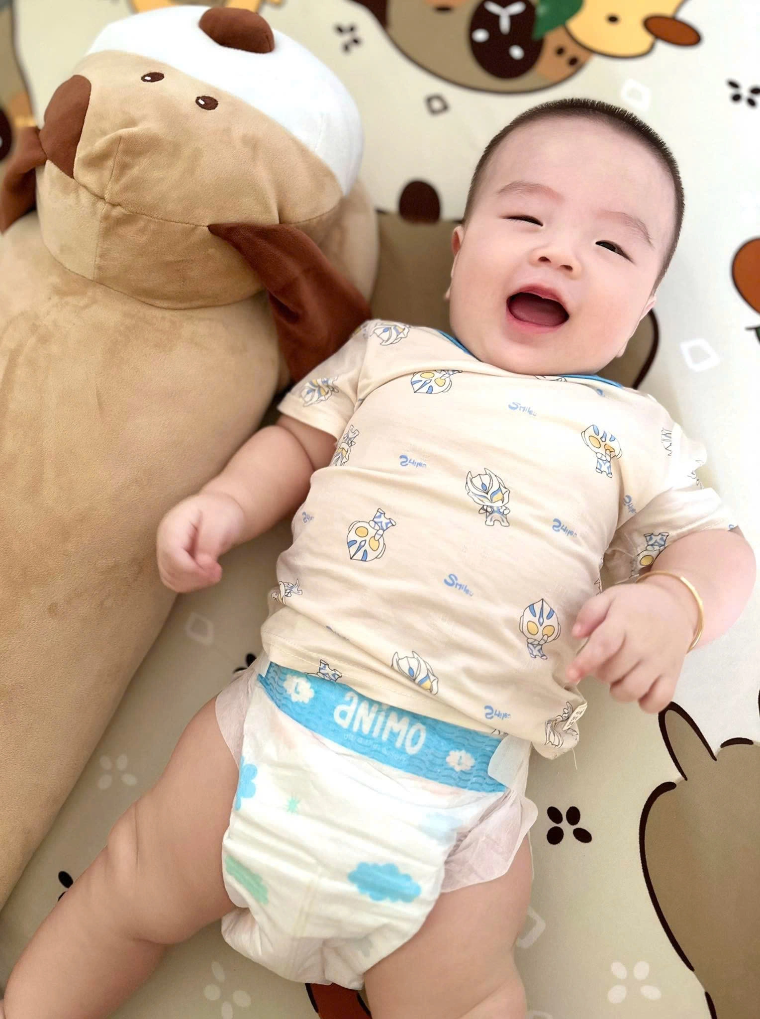 tã animo có tốt không