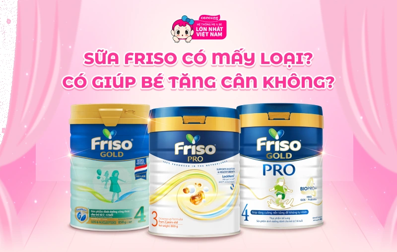 Sữa Friso c&oacute; mấy loại?