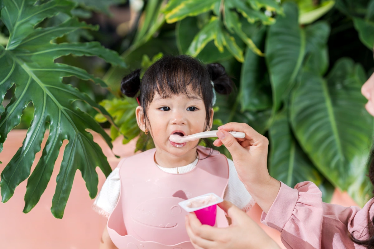 Mẹ c&oacute; thể cho b&eacute; 6 th&aacute;ng tuổi ăn dặm bằng c&aacute;c loại sữa chua tốt cho hệ ti&ecirc;u h&oacute;a.
