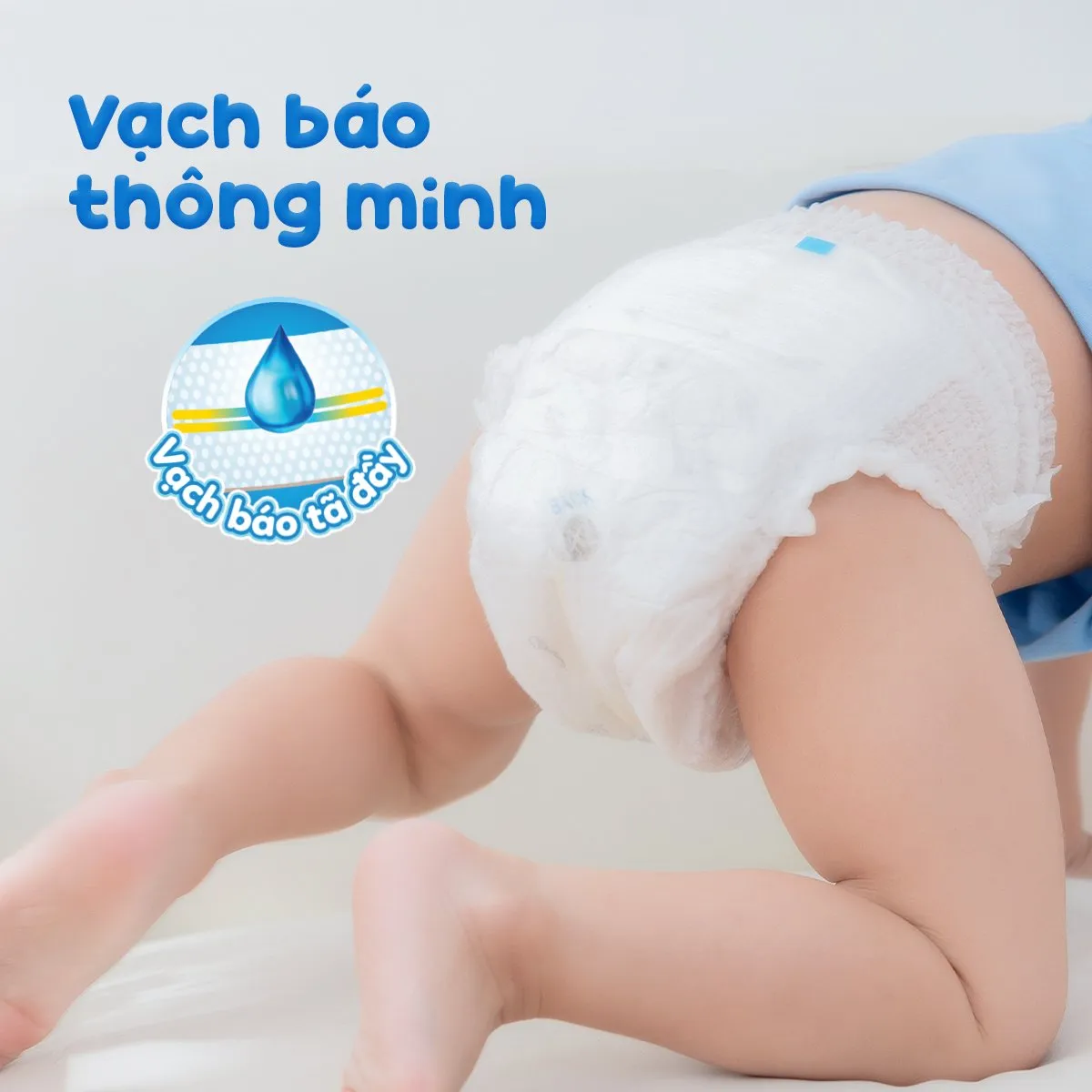 Takato c&oacute; trang bị vạch b&aacute;o đầy bỉm tiện lợi.