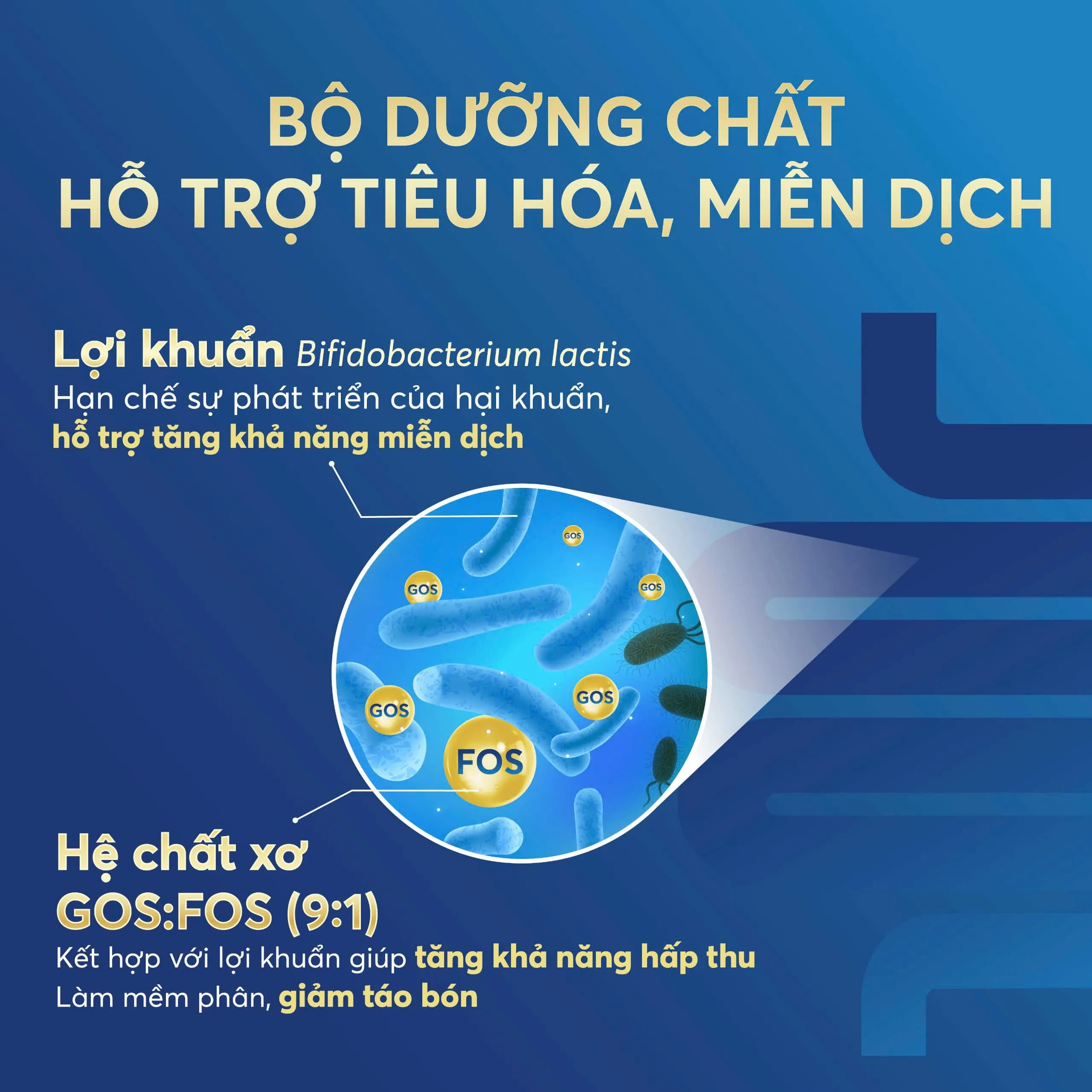Sữa Alphagen chữa chứng biếng ăn từ gốc, bằng c&aacute;ch củng cố hệ ti&ecirc;u h&oacute;a non nớt của b&eacute;.