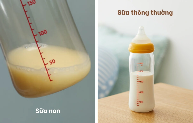 sữa non l&agrave; g&igrave; v&agrave; vai tr&ograve; với hệ miễn dịch của b&eacute;