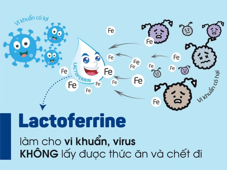 thành phần sữa morinaga chứa lactoferrin