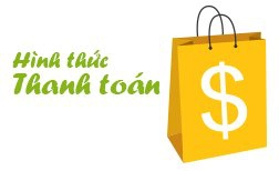 Chính sách bảo hành và bảo trì