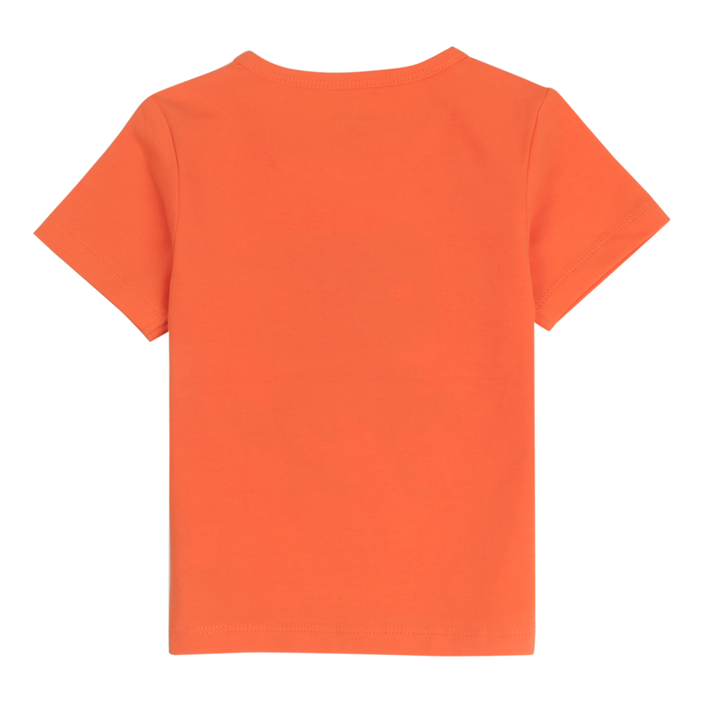 9be674cf9033a80d46242d82f55edfe7