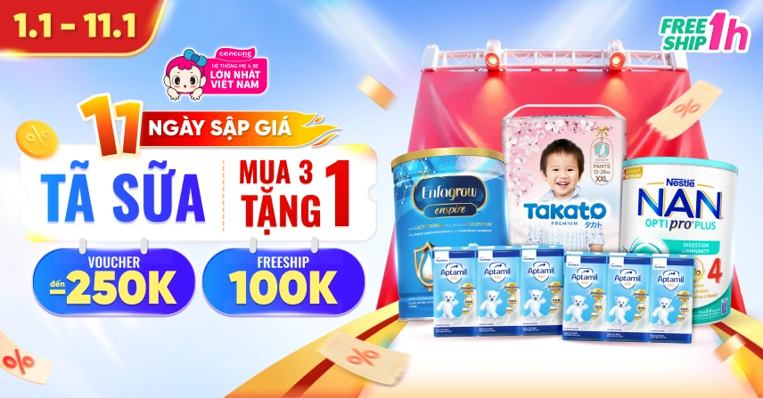 11 NGÀY SẬP GIÁ 01-11/01