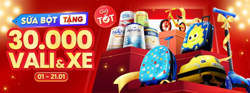 11 NGÀY SẬP GIÁ 01-11/01